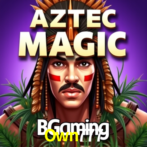 Apostas Esportivas na Own777: Um Guia Completo