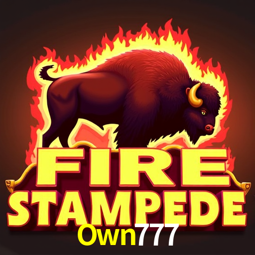 A Experiência Imersiva dos Cassinos Ao Vivo no Own777